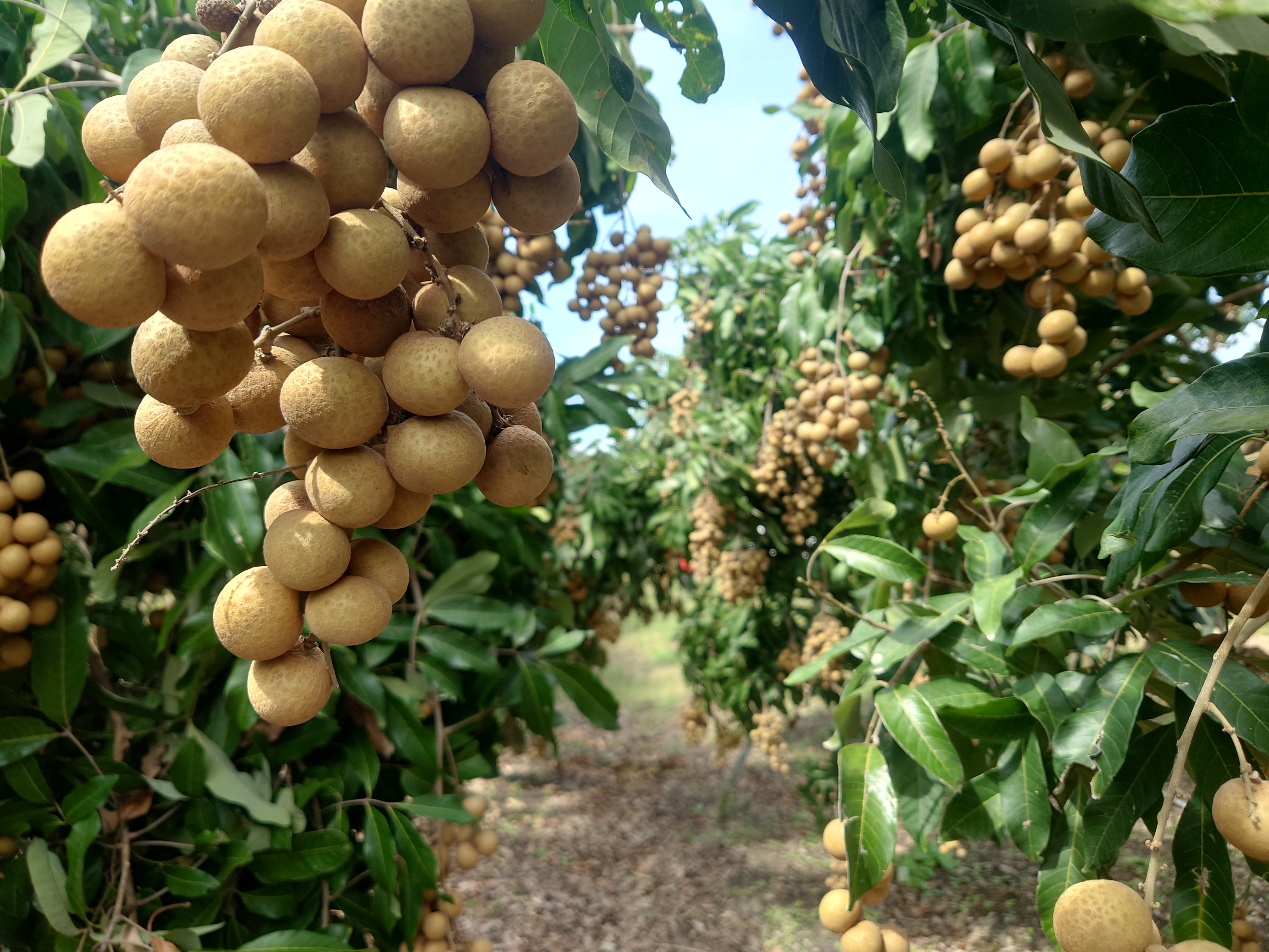 BET9九州app网址源