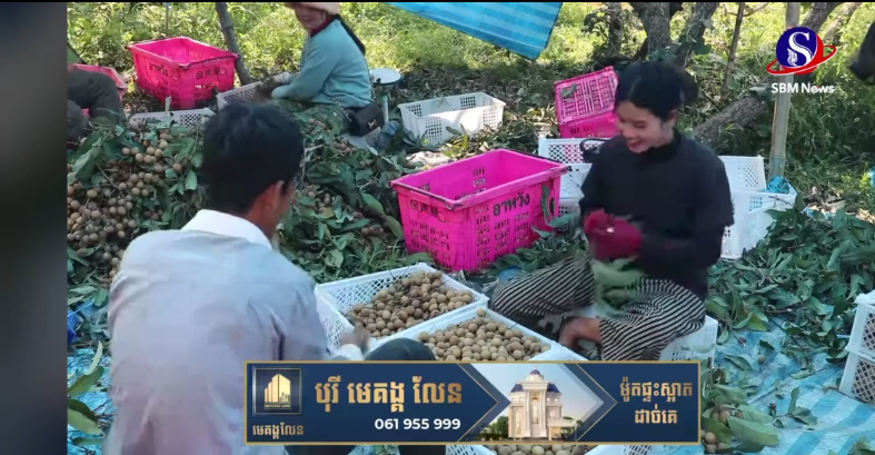 微信图片_20240221143455 微信图片_20240221143455