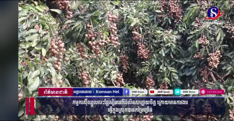 微信图片_20240221143458 微信图片_20240221143458