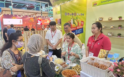 BET9九州app网址源携优质龙眼产品亮相泰国国际食品展 拓展国际市场新机遇